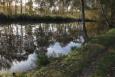 19 De bomen weerspiegelen weer prachtig in een schoon Houjesplein